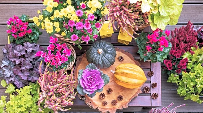 The Easiest Fall Container Recipe for a Fragrant, Colorful Garden Display