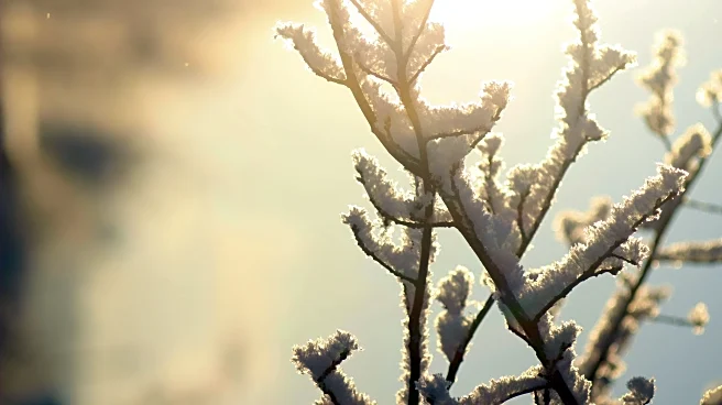 Veterans Day Eve Brings First Big Freeze to VA–NC Region