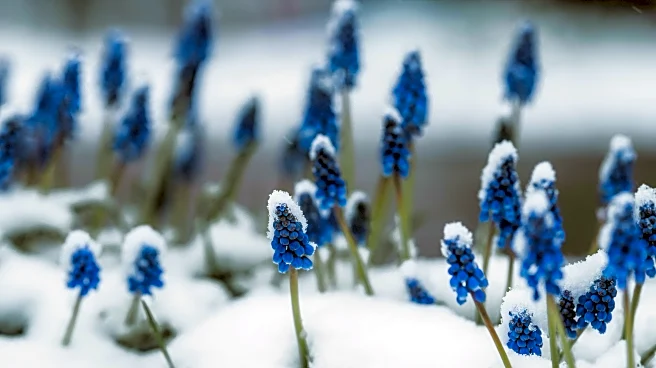The Crucial Garden Tasks To Finish Before The First Frost Arrives