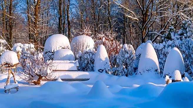 Natural Ways To Keep Your Garden Thriving Through Harsh Winter Weather