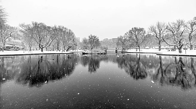 Lake-Effect Blast: Upstate New York Faces Fierce Flurries