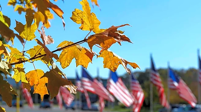 Veterans Day Forecast: Cool Temps, Warm Tributes Nationwide