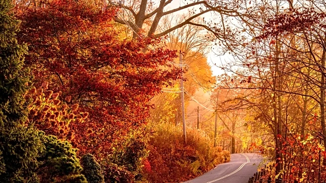 Weekend Getaways: Scenic Drives to Catch the Last Fall Colors