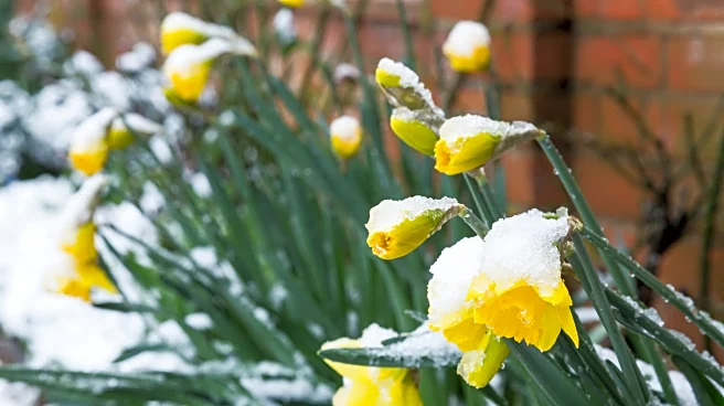 Winterizing Your Garden: What to Do Before the Ground Freezes