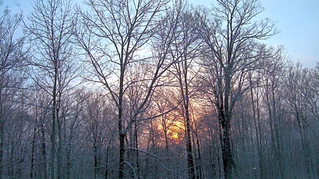 Why Locals Love Stick Season In Western North Carolina