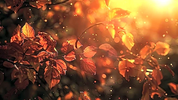 East Coast Warms Up: Winter Chill Finally Eases This Week