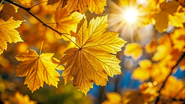 Wednesday’s Weather Story: Coast To Coast Highlights