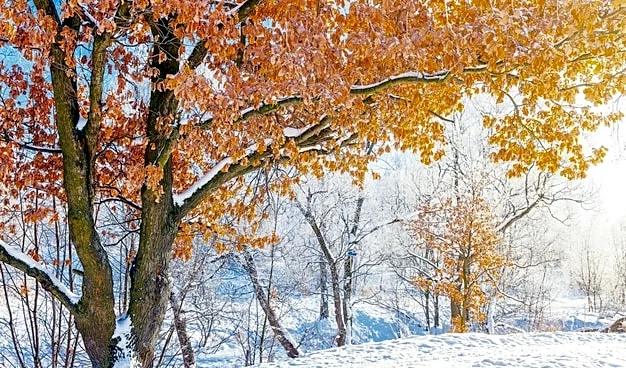 Snow Lingers! Northeast and Great Lakes See Late-Fall Flurries