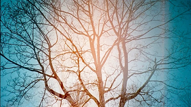 November Nights Are Longer—Here’s How to Beat the Seasonal Blues