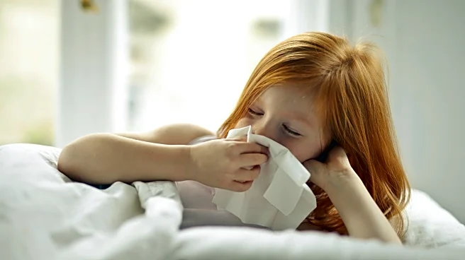 Cold and Flu Season Is Here—Weather’s Role in Staying Healthy