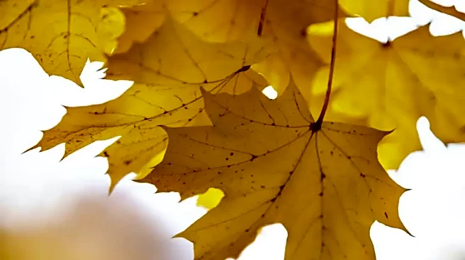 Texas Panhandle Heats Up To 80s Before Cold Front Arrives