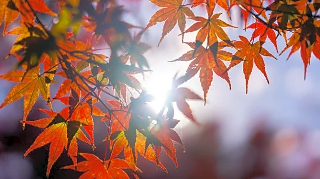 Elevated Fire Risk Hits Eastern North Carolina Through Friday