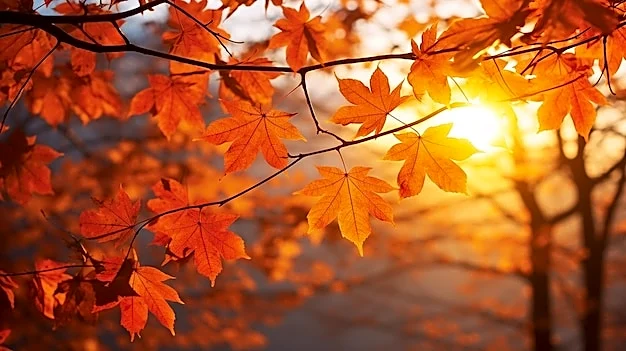 Above Average Temperatures Persist Across Western U.S. This Week