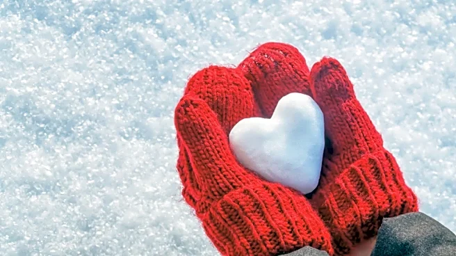 Snow Fun Facts That Reveal The Surprising And Delightful Side Of Winter