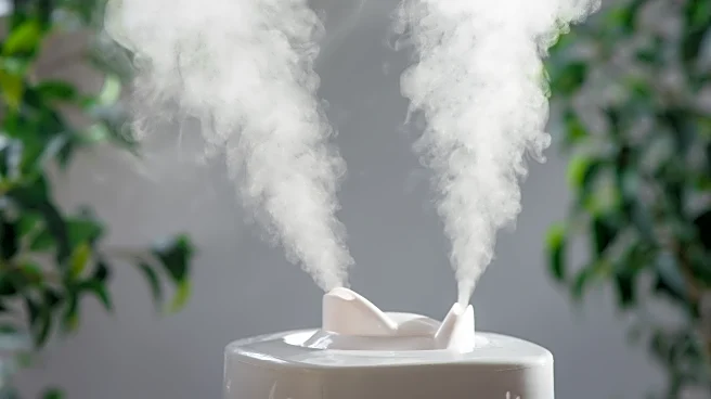 The Humidifier Hack That Finally Helps Calm Your Scratchy Winter Throat