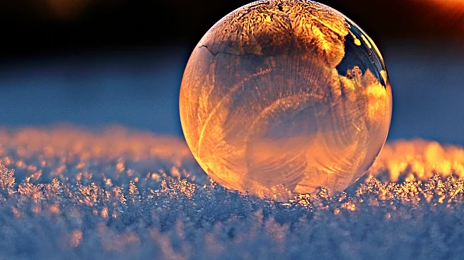 Frost Flowers Emerge As Early Winter’s First Big Chill Sets In