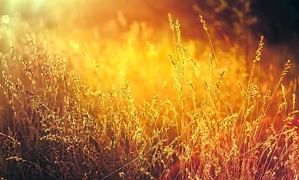 Mid-Atlantic and Southeast Warm After Early-Week Chill