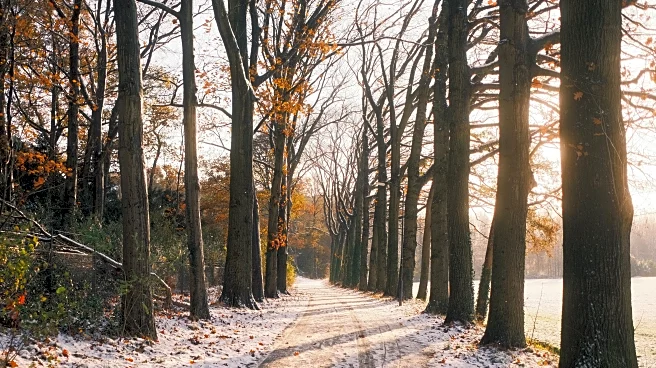 North Carolina Shifts Into A Breezy, Early-Winter November