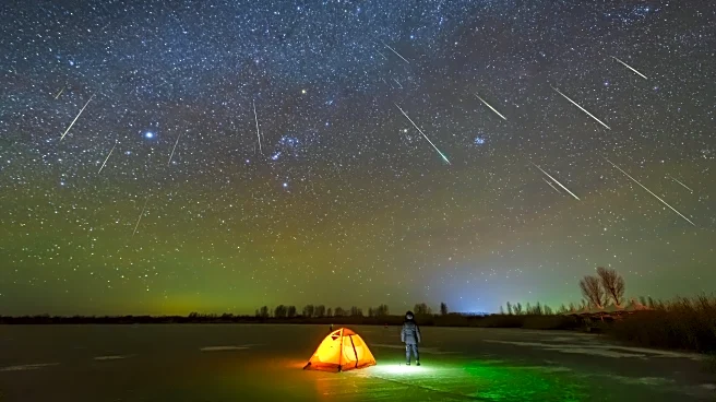 Leonids Deliver Fast Meteors As Comet Debris Lights Sunday Night!!