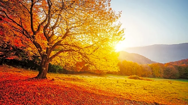 Southern Plains Hold Onto Record Heat as Cold Front Stalls Early Next Week