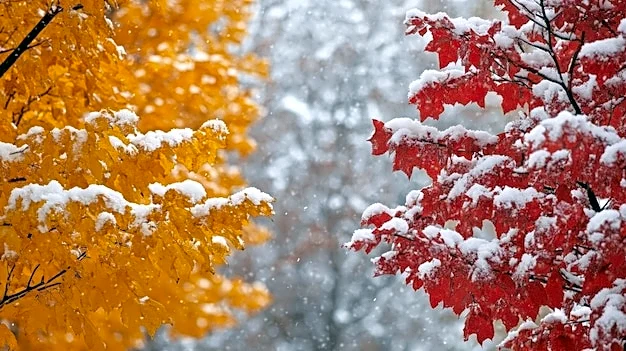 Northeast Braces For Snowy, Windy Hit From Fast Arctic System