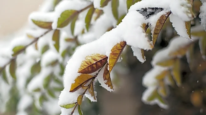 Late-November Storms Set Up A Cold, Snowy Start To December!