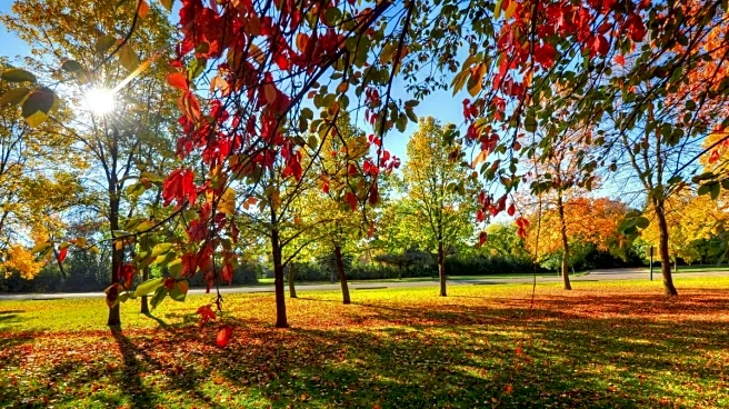 November Warmth Takes Over The South In A Wild Weather Turnaround