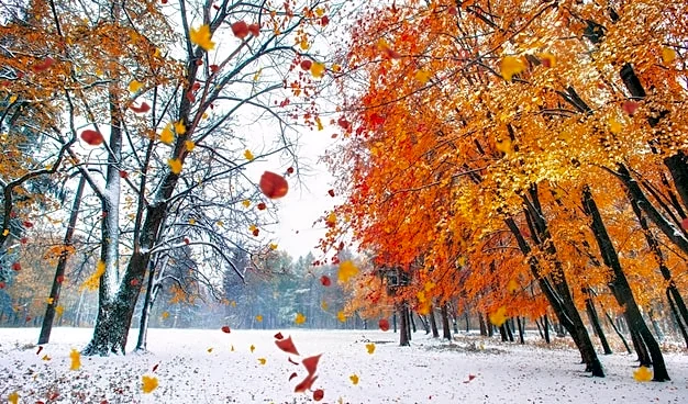 Here's Nation's Weather Forecast In One Simple Snapshot