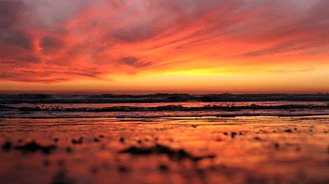 The Real Reason November Skies Glow So Bright And Warm At Sunset