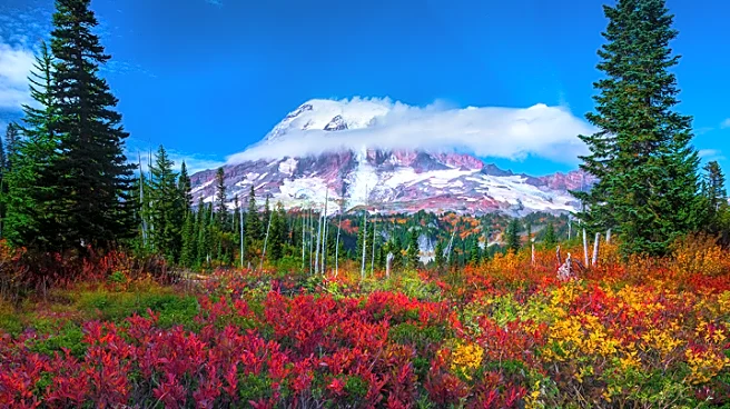 Experts Debunk Mount Rainier Quake Panic On Social Media