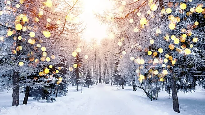 December Weather May Shift As Polar Vortex Weakens Fast