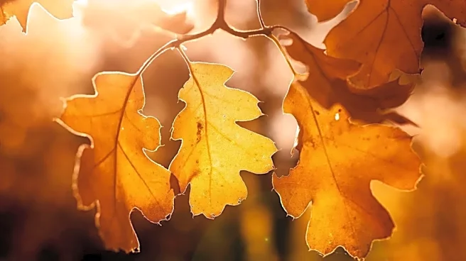 High Temperatures Shift East As Record Heat Continues