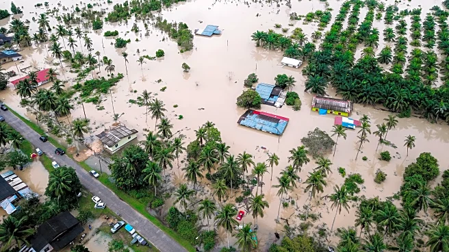 At Least 41 Dead As Vietnam Floods Collapse Roads And Rails
