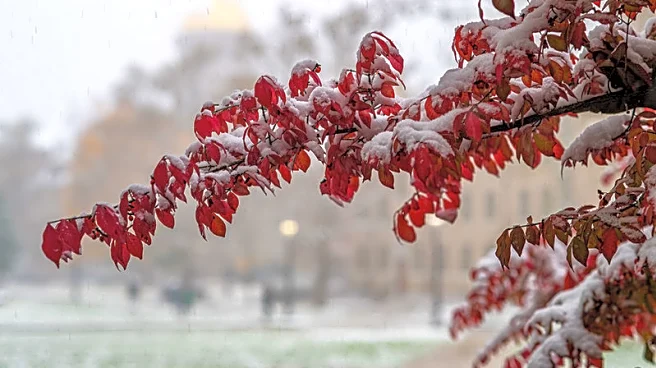 What To Expect As Thanksgiving Jump-Starts Holiday Travel