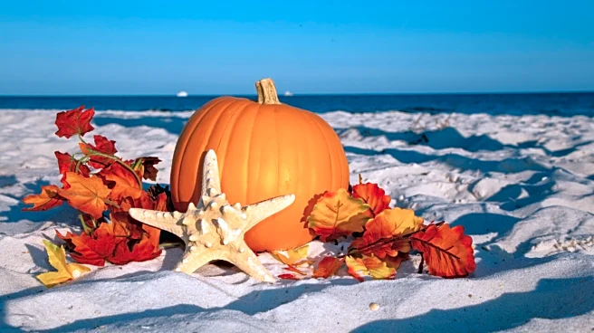 Big Holiday Crowds Put Florida First For Thanksgiving Trips