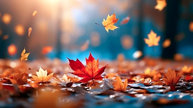 A Look Ahead At The National Weekend Weather Setup