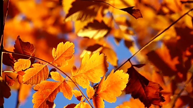 Your Saturday Forecast: A Snapshot Of Today’s Weather