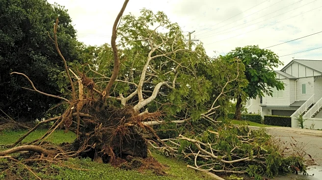 Power Down For 1000s As Cyclone Fina Strikes Australia