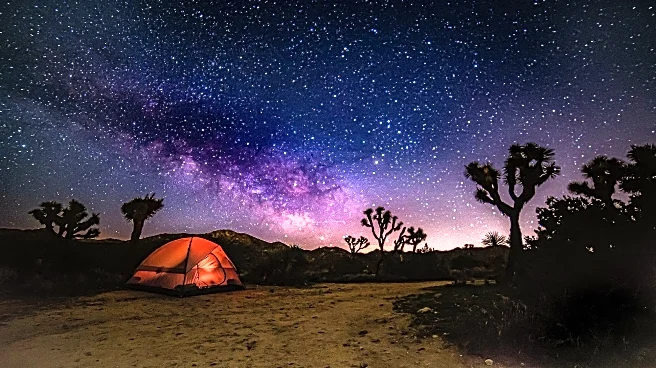 Hiker Sparks 72-Acre Fire At Joshua Tree’s Black Rock Camp