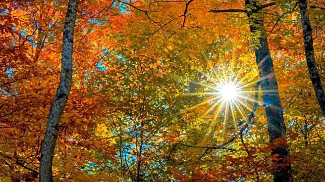 Central And Eastern U.S. Hold Onto Unseasonable Warmth