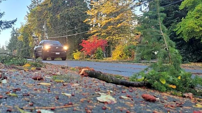 Southeast Rain and Storms Expected Nov. 29–Dec. 5