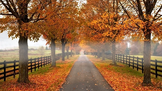 Blizzard And Fog Threaten Millions In Pre-Holiday Travel