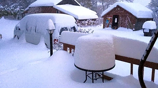 Brace For Chaos: 40-State Storm Threatens Post-Thanksgiving Travel