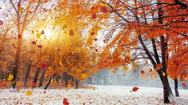 Snow Bands And Gusty Winds Threaten Great Lakes Roads