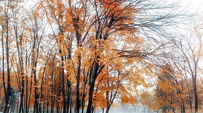 Latest Weather Conditions for Thanksgiving Weekend Across US