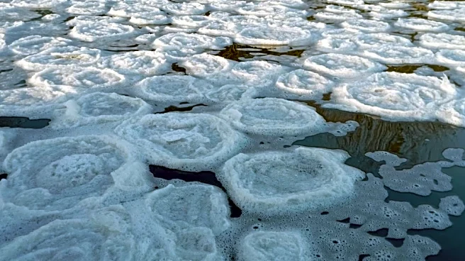 Arctic Blast Turns Lake Superior Into Pancake Ice In Wisconsin