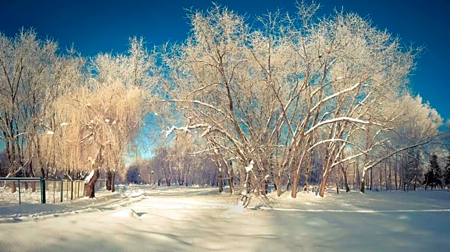 Arctic Air On Repeat As Polar Vortex Parks Up North