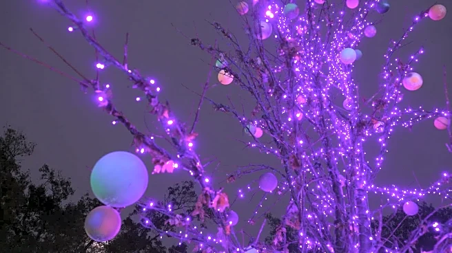 Christmas Lights In This Texas Town Sparkle Into Outer Space