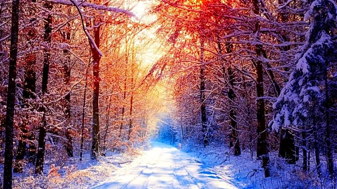 Polar Vortex Drives Deep Cold Into U.S. Through Mid-December