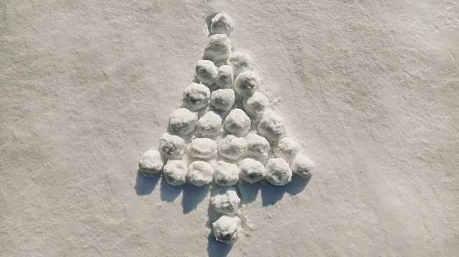 Saturday Forecast: A Look at Weather Across the U.S.